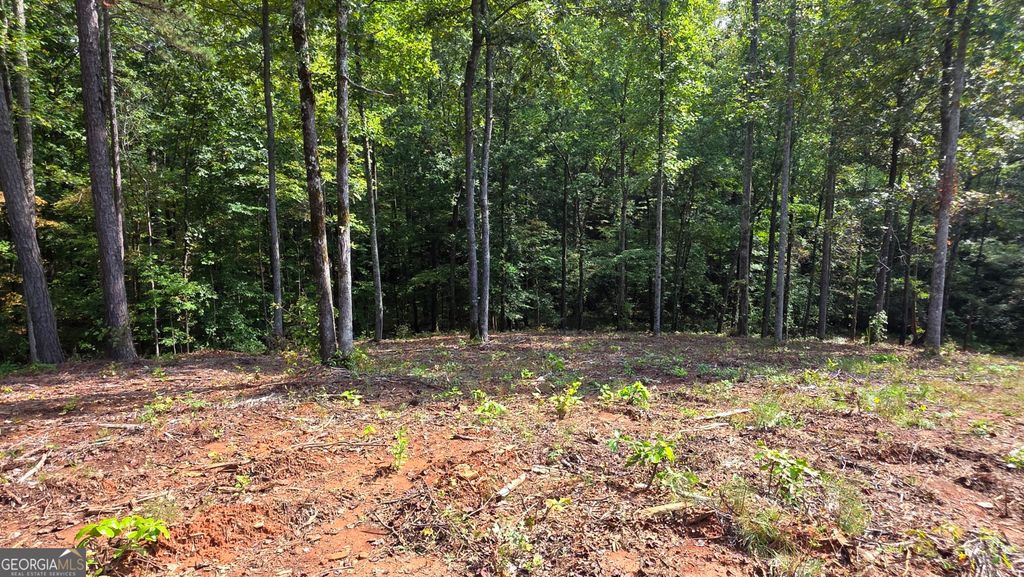 Photo of 4 Springfield Parkway, Ellijay, GA 30540 (MLS # 10682213)