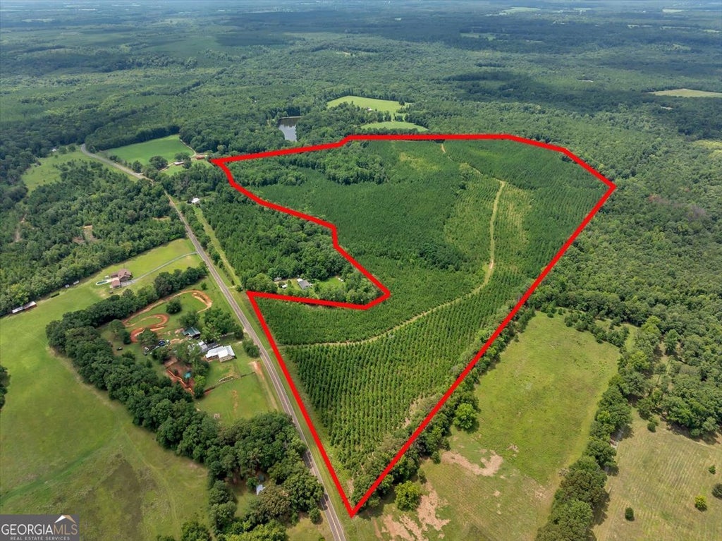Photo of TURKEY POINT Turkey Creek Road, Danville, GA 31017 (MLS # 10803889)