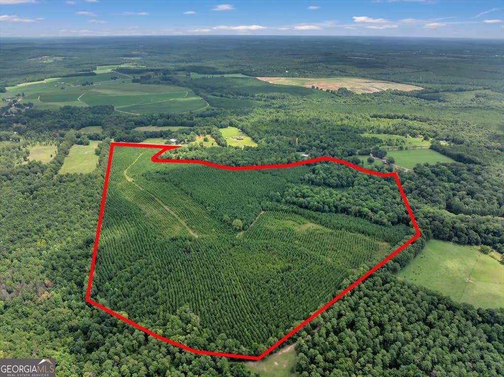 Photo of TURKEY POINT Turkey Creek Road, Danville, GA 31017 (MLS # 10803889)