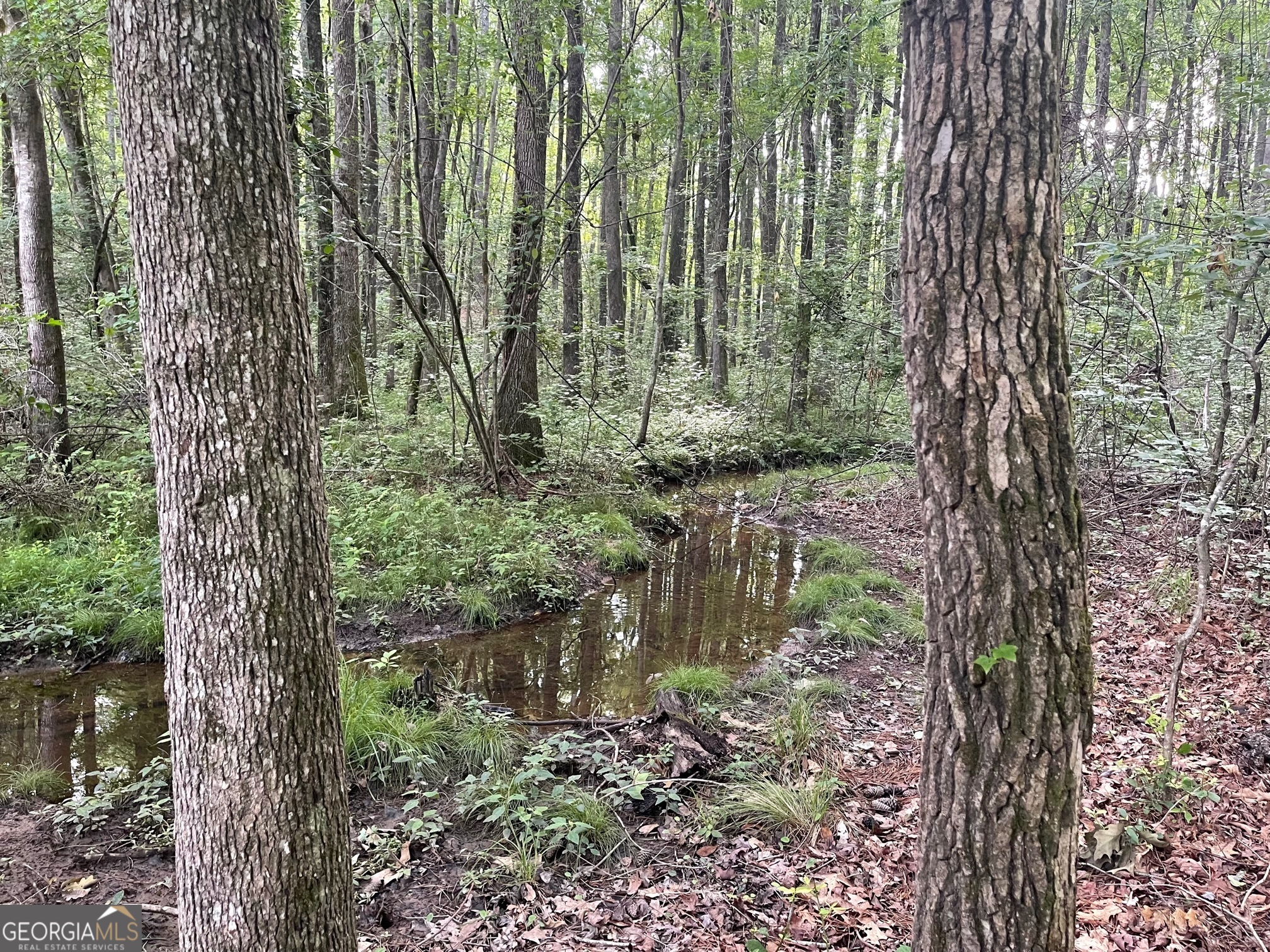 0 Swanson RD LOT 1