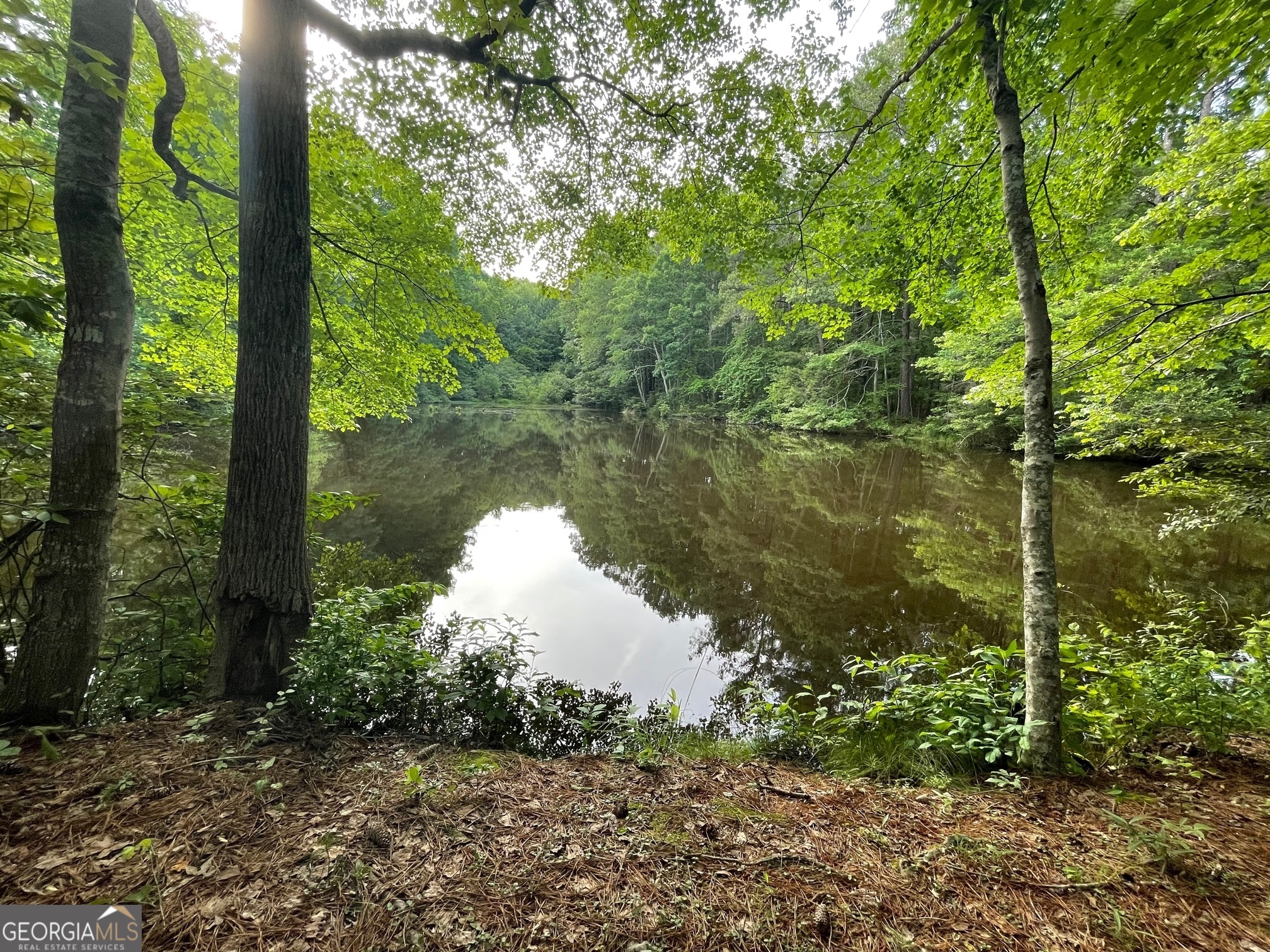0 Swanson RD LOT 1