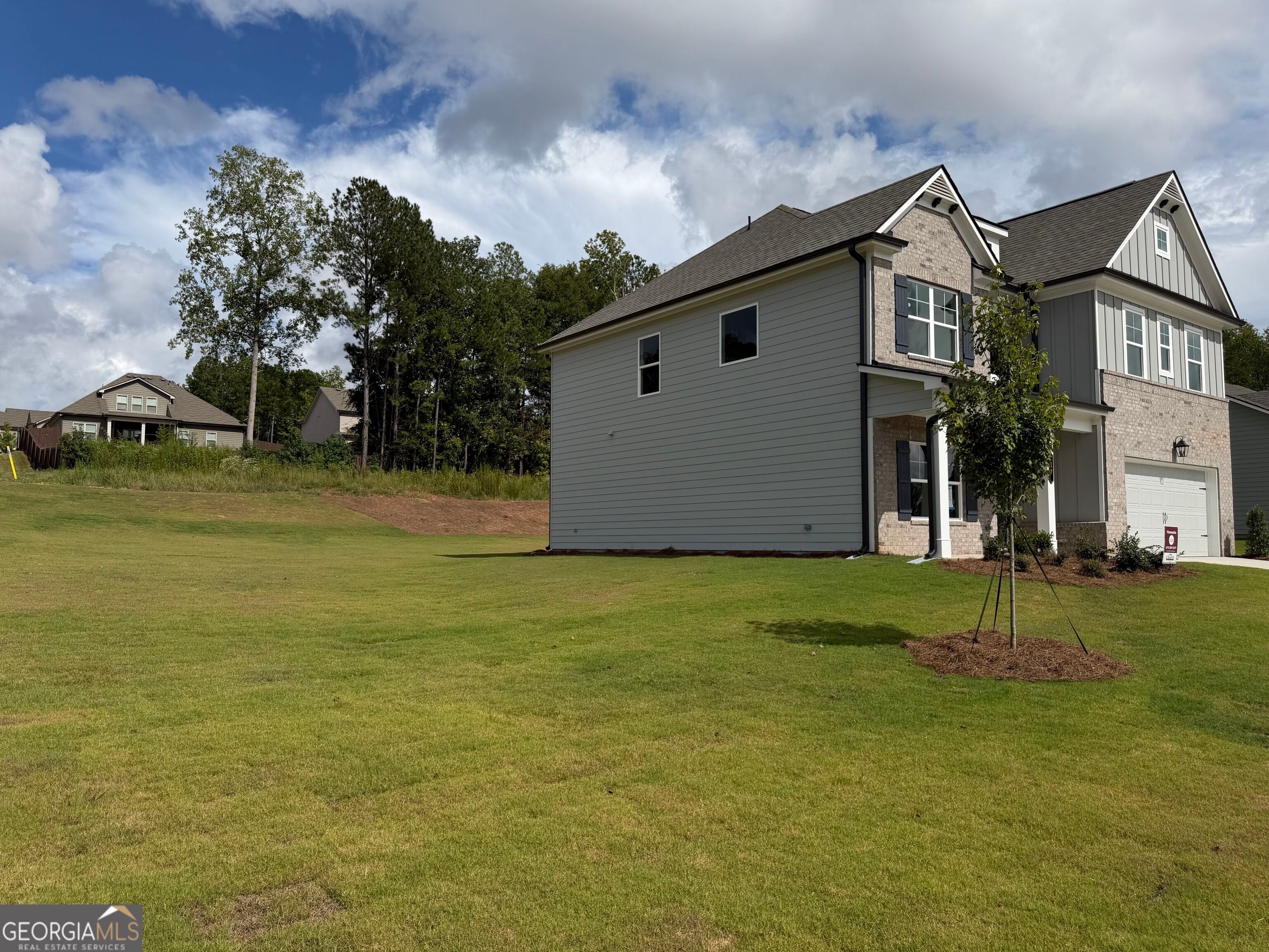 17 Bufflehead PASS