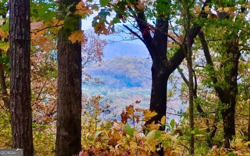 Photo of 4391 Old Burnt Mountain Road #PART OF C, Ellijay, GA 30540 (MLS # 10775851)