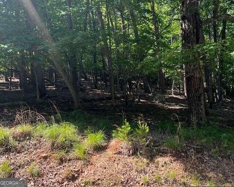 1121 Oglethorpe Mountain RD Jasper GA 30143