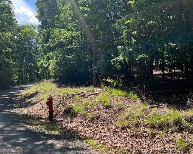1121 Oglethorpe Mountain RD