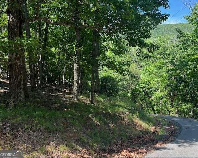 1121 Oglethorpe Mountain RD