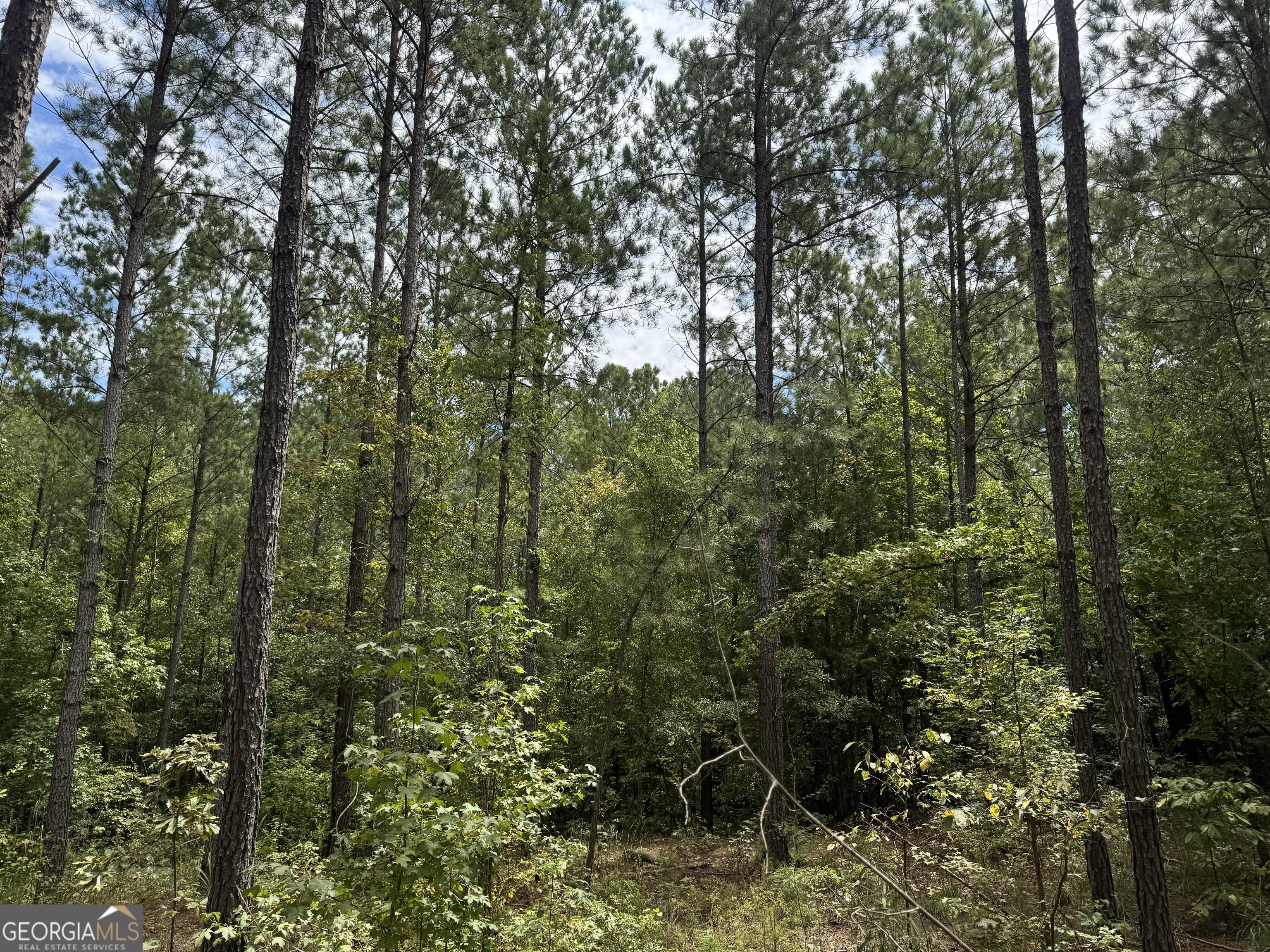 99.58 +/- AC Peace LN