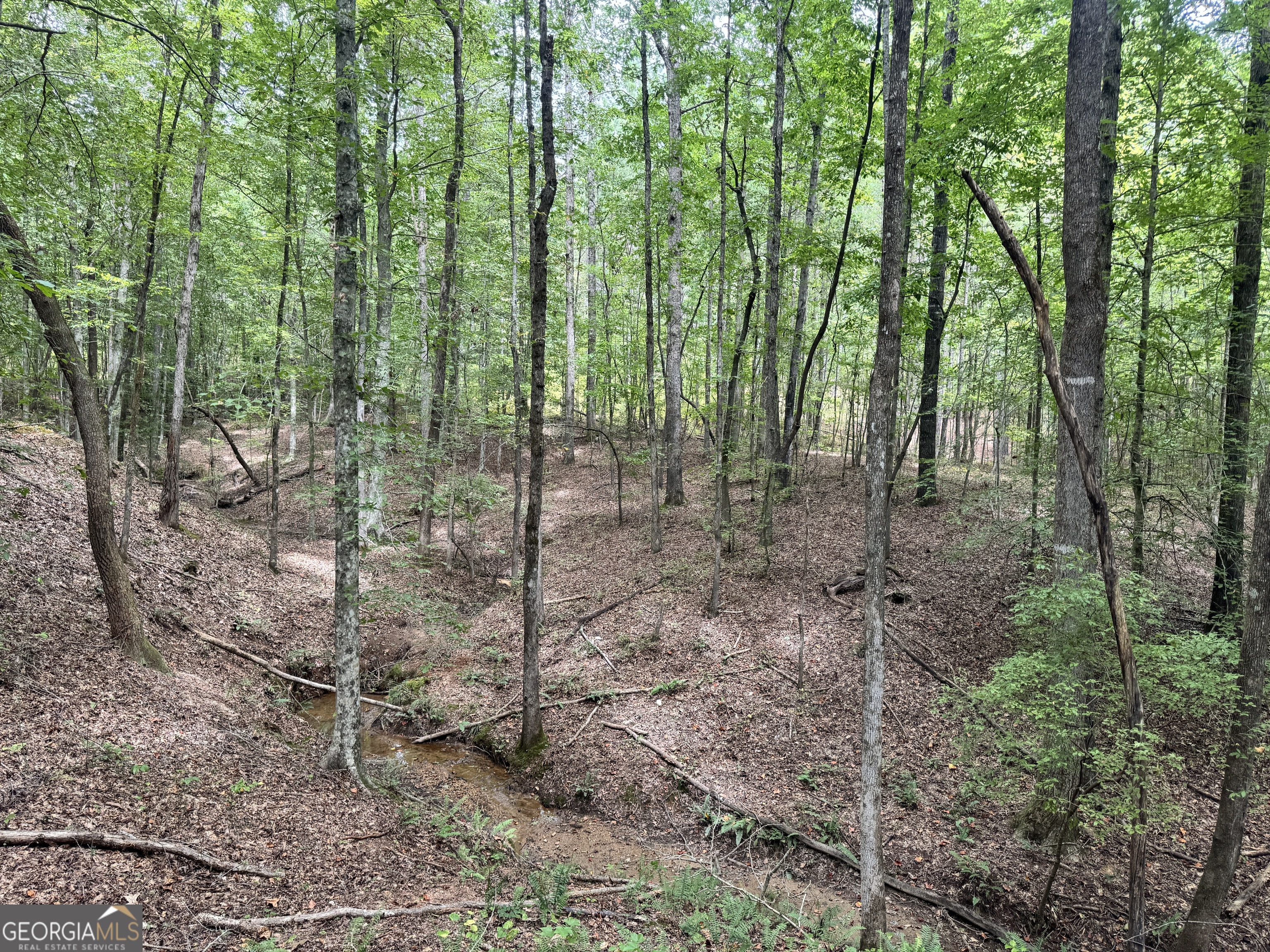 99.58 +/- AC Peace LN