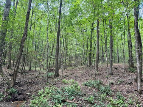 99.58 +/- AC Peace LN Franklin GA 30217
