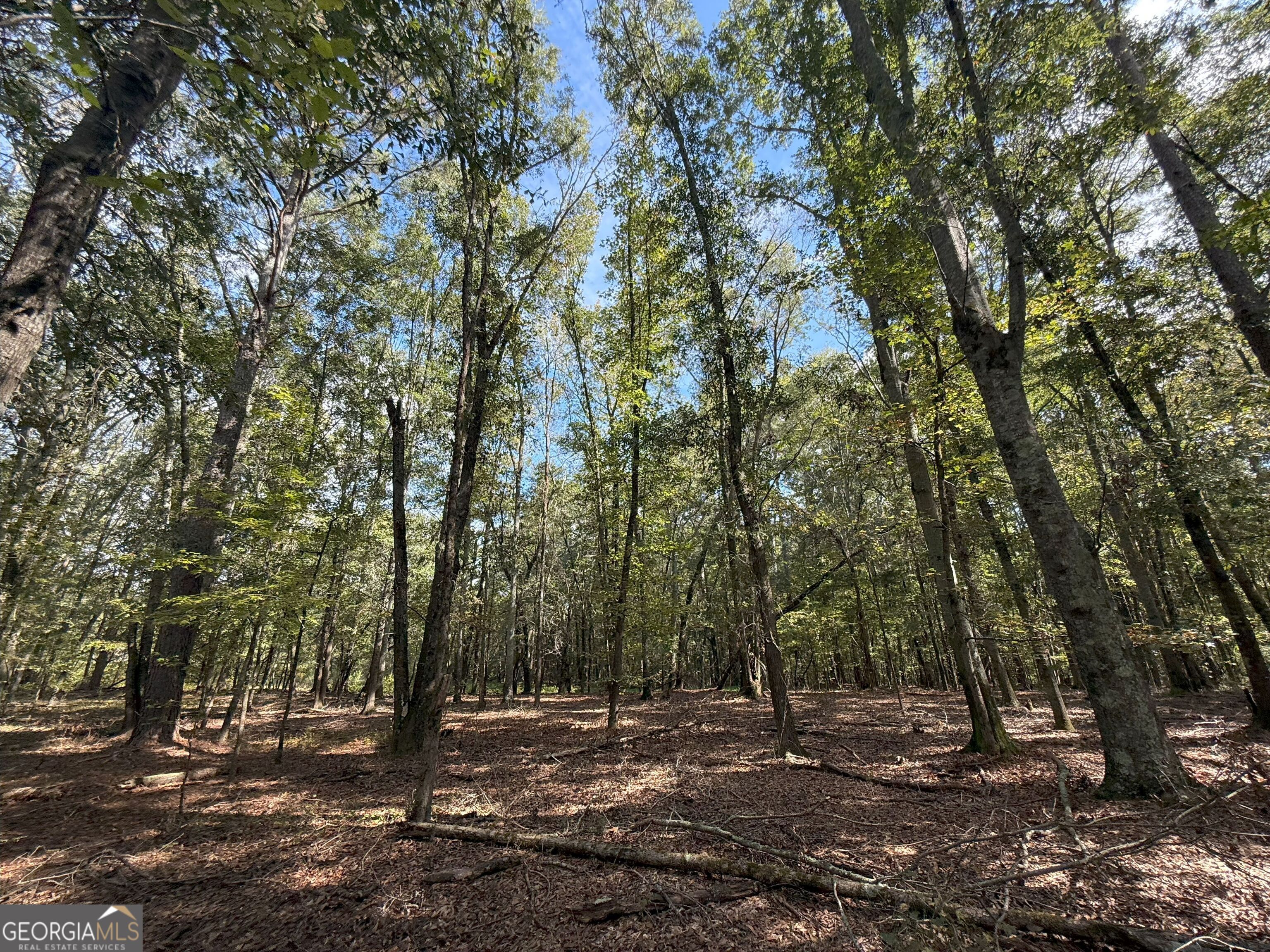 9898 Jefferson River RD