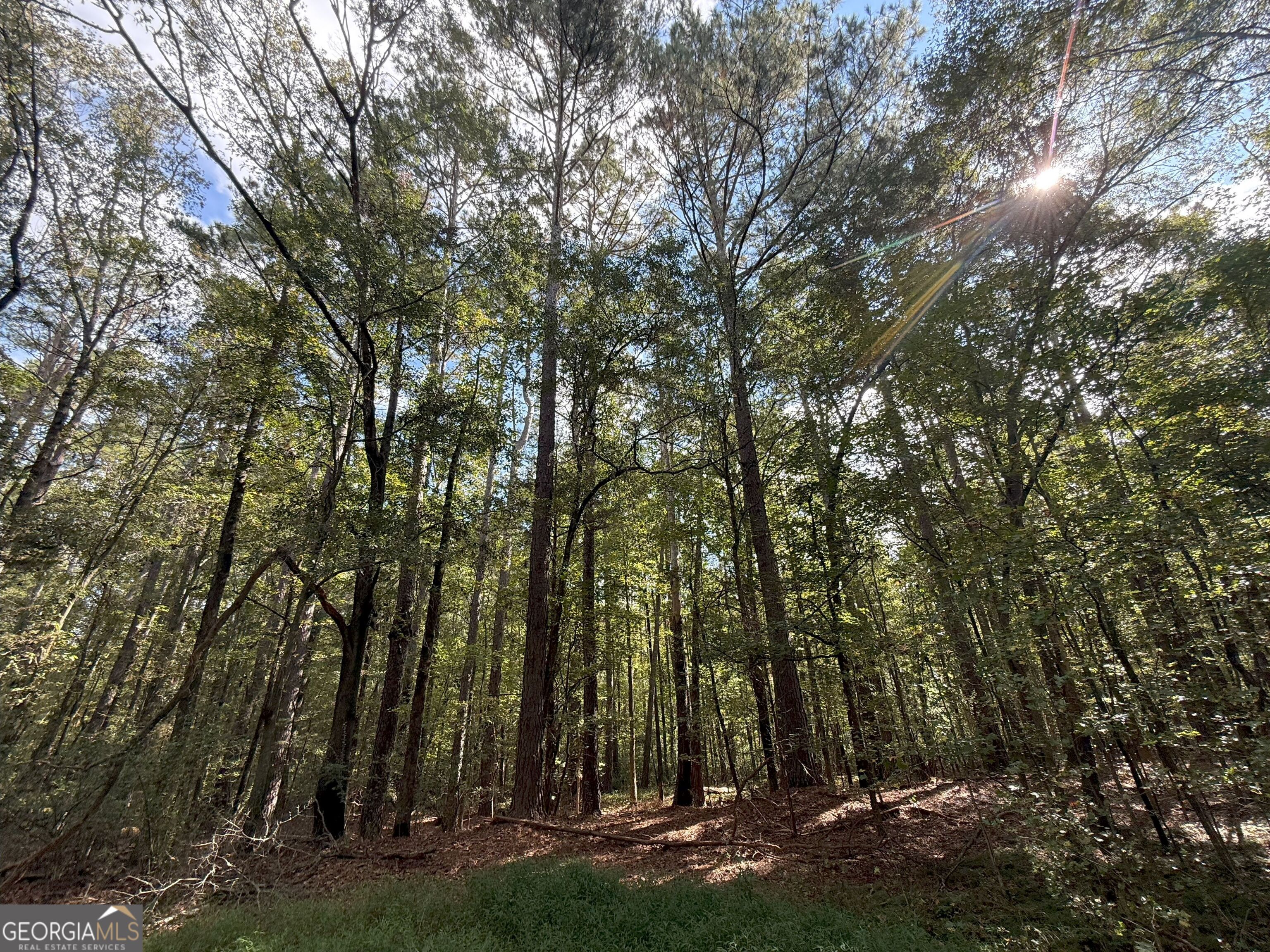 9898 Jefferson River RD