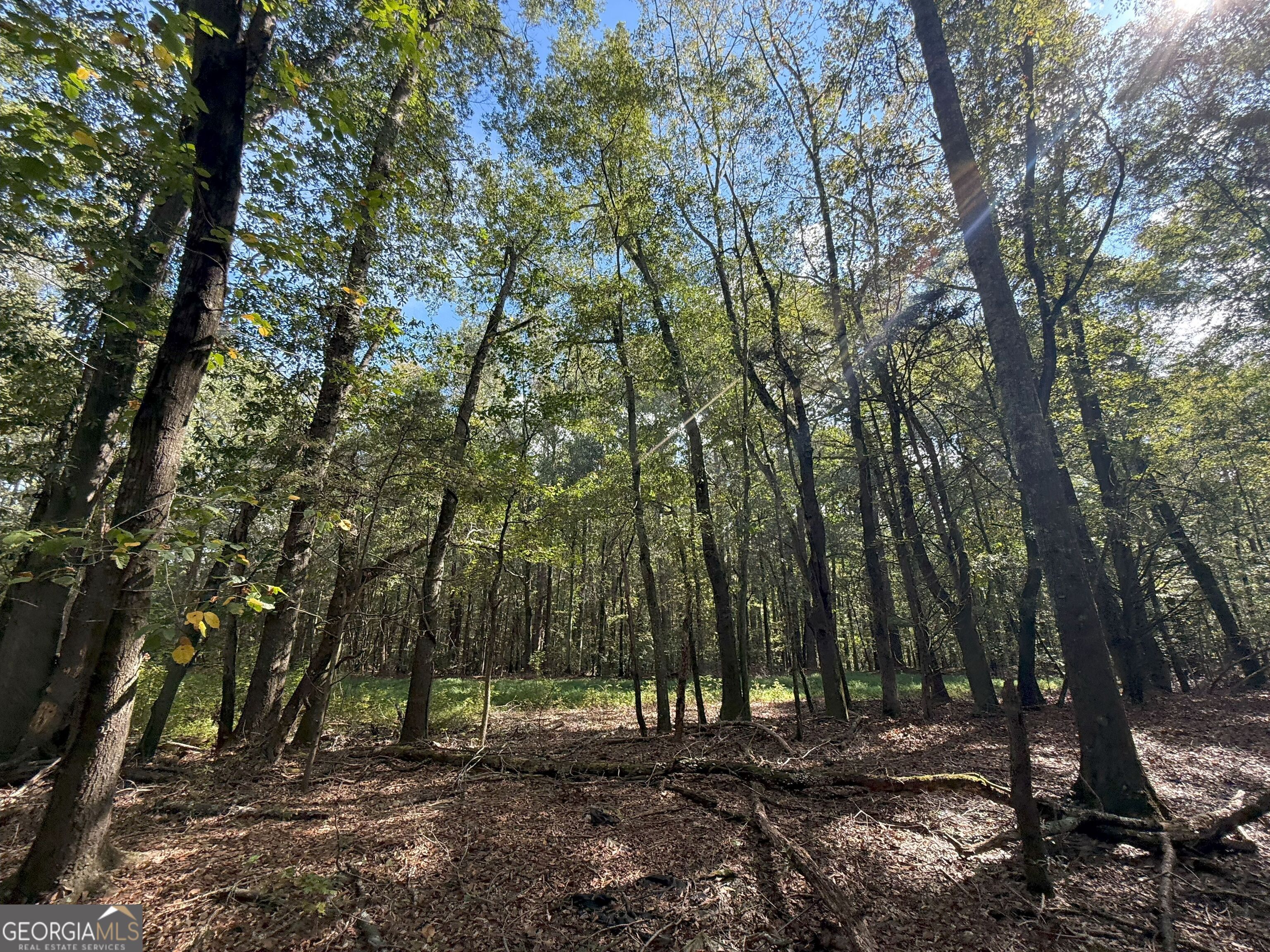 9898 Jefferson River RD