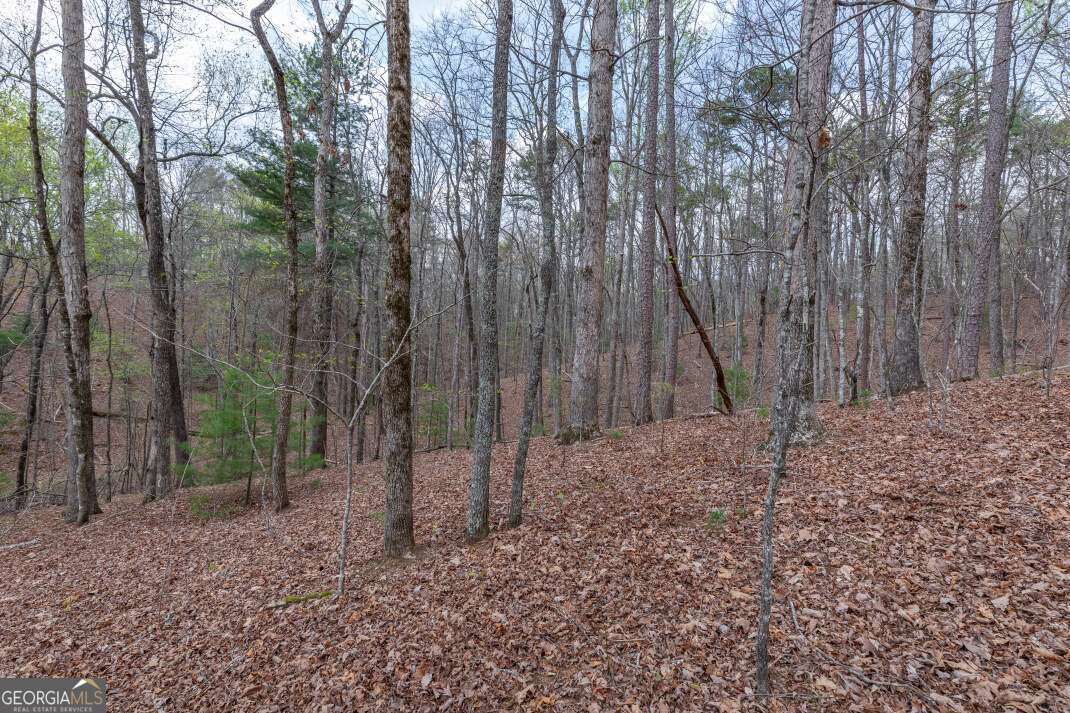 LOT 6B Glenridge WAY