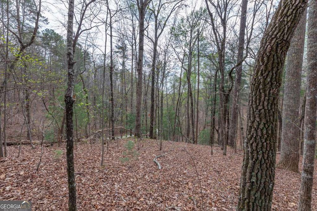 Photo of 6 Glenridge Way, Ellijay, GA 30540 (MLS # 10726929)