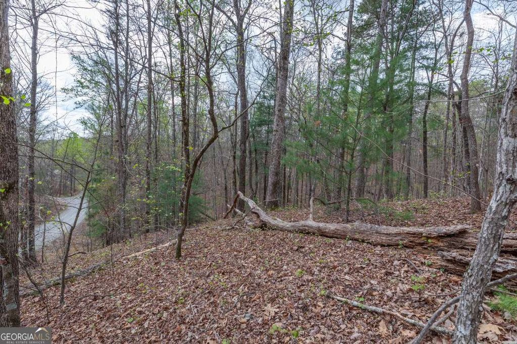 Photo of 6 Glenridge Way, Ellijay, GA 30540 (MLS # 10726929)