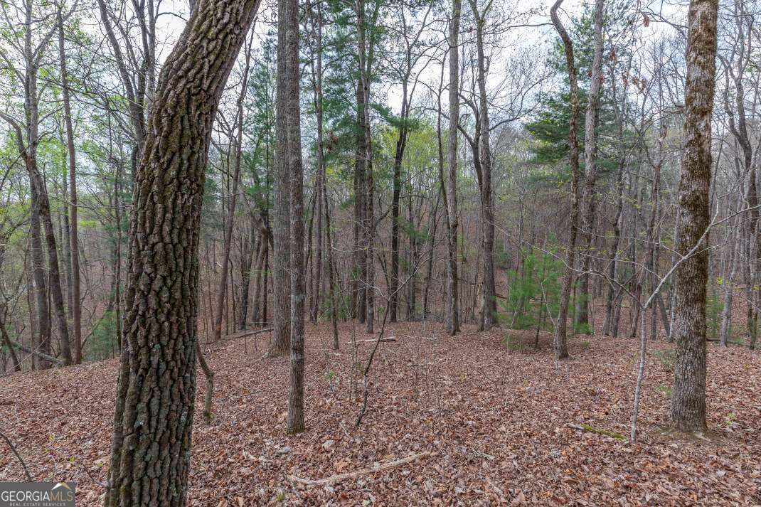 LOT 6B Glenridge WAY