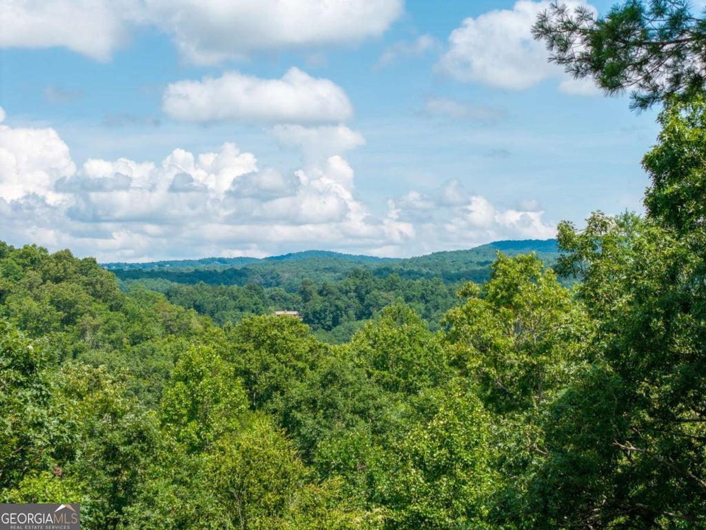 Photo of 66 Briar Creek Court, Morganton, GA 30560 (MLS # 10809353)