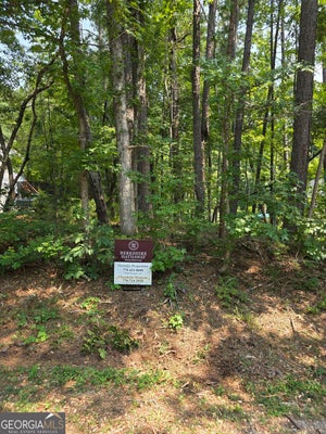4195 ARGONNE PL, VILLA RICA, GA 30180 - Image e2bfc0eb6ecb77f20e92a34945a2e049/3254004550