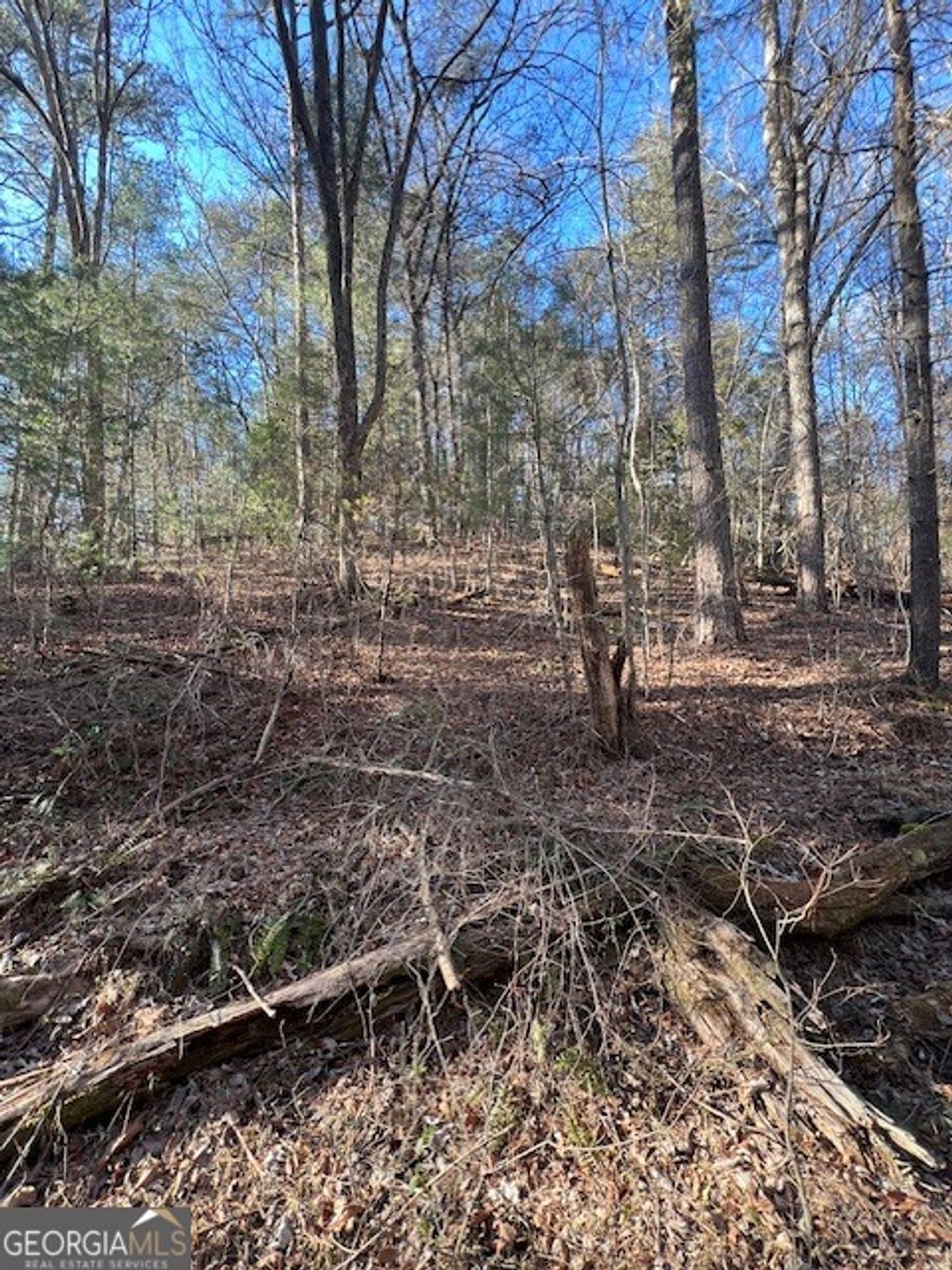 Photo of 0 Old Miller Rock, Ellijay, GA 30540 (MLS # 10692717)