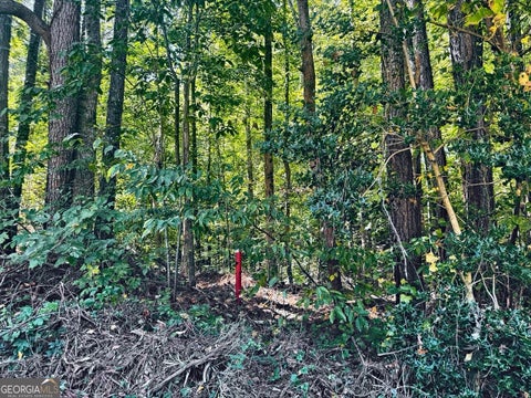 Photo of 3349 Confederate Point, Canton, GA 30115 (MLS # 10870715)