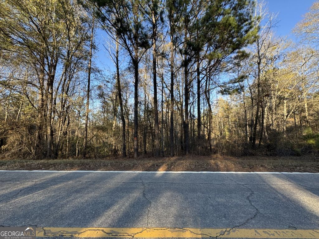 Photo of 0 Kelly Road, Macon, GA 31217 (MLS # 10660377)