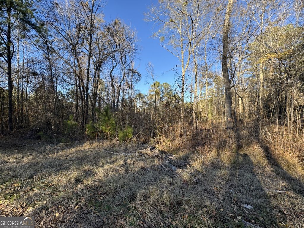 Photo of 0 Kelly Road, Macon, GA 31217 (MLS # 10660377)