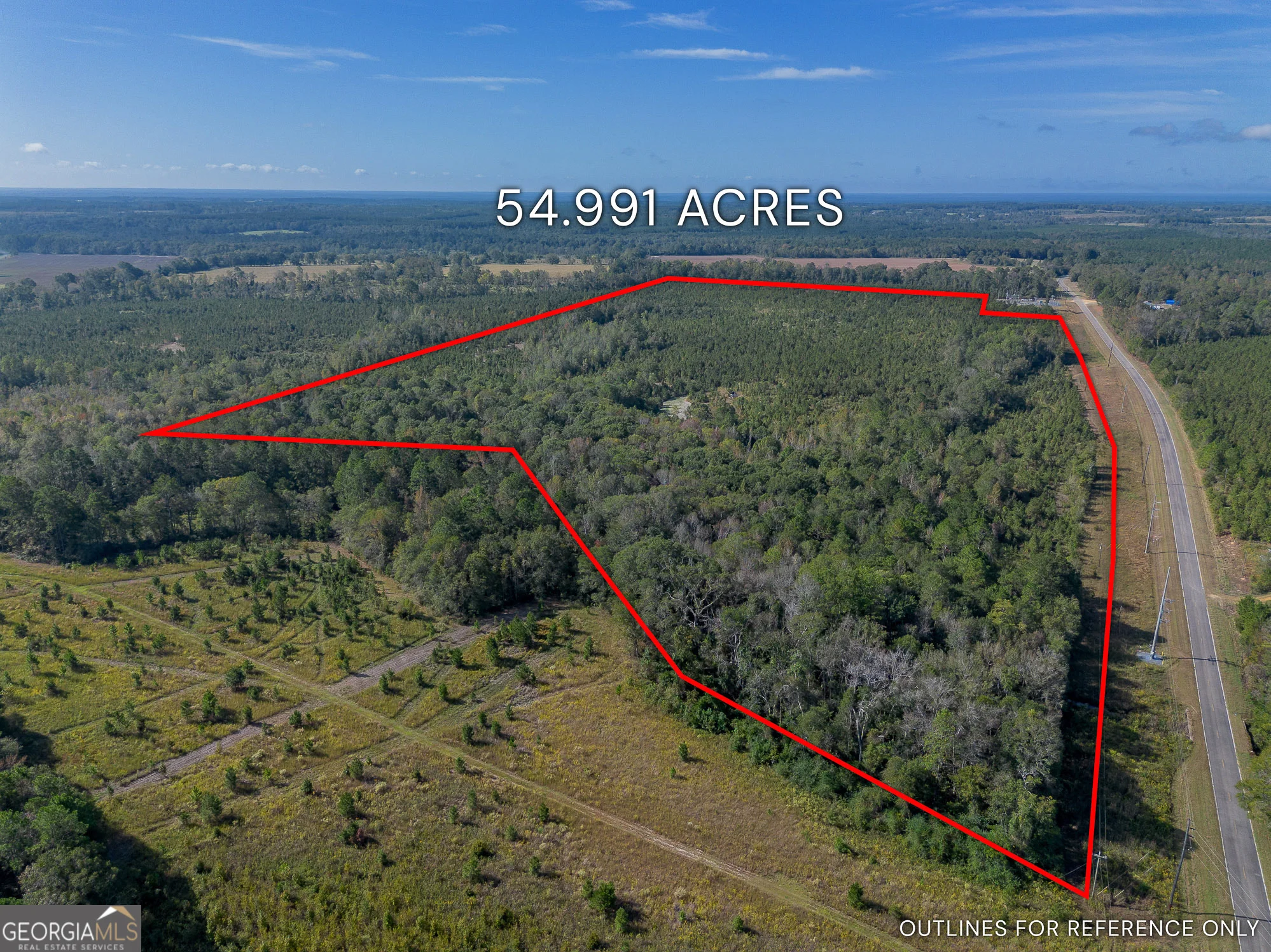 TRACT 7 Kinnett Road, Jacksonville, GA, 31544