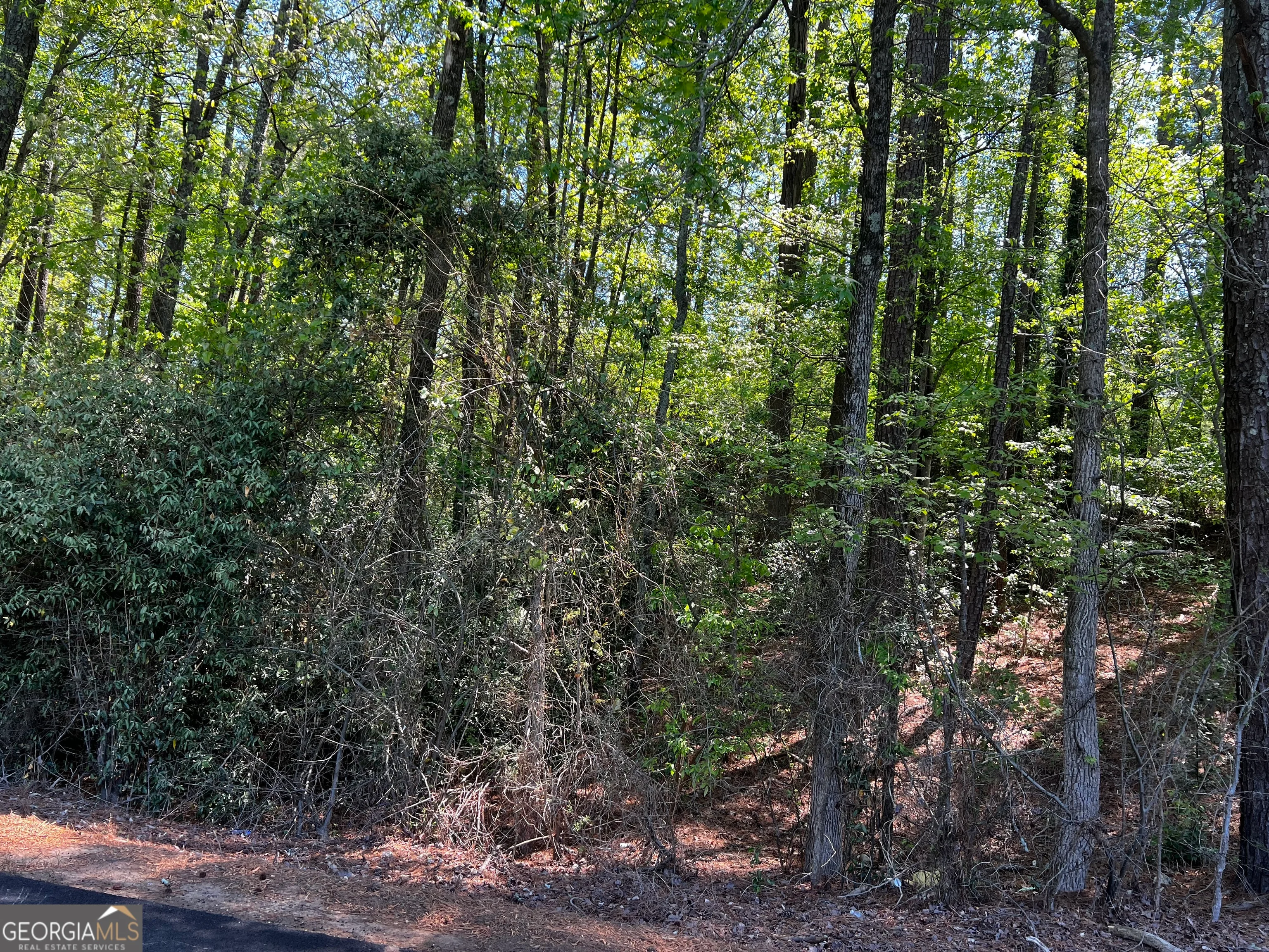 0 Wayside Road
