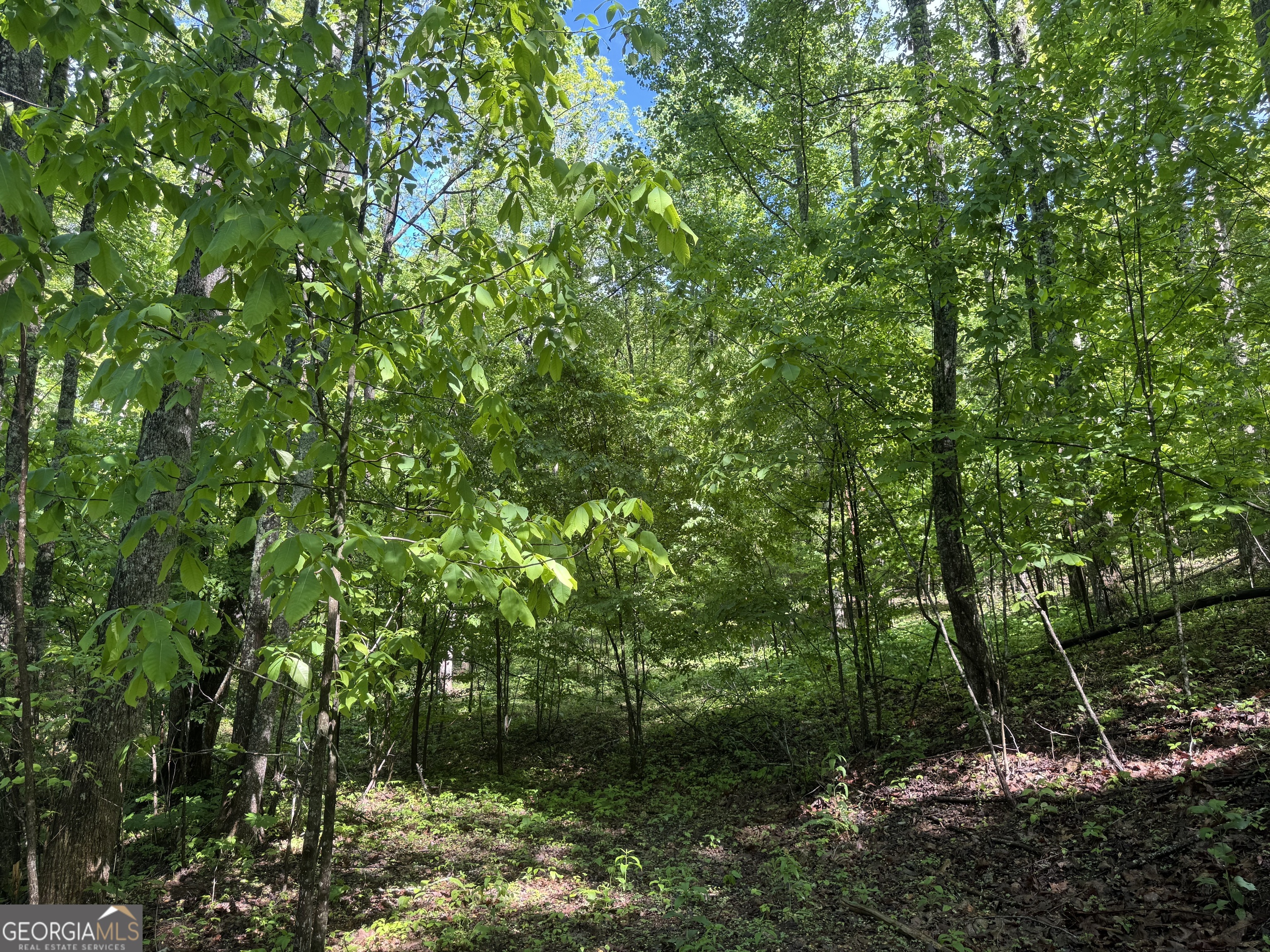 LOT 42 Meadow Brooke