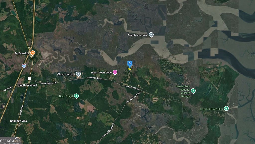 Photo of 69 Eagle Neck Drive, Townsend, GA 31331 (MLS # 10736989)