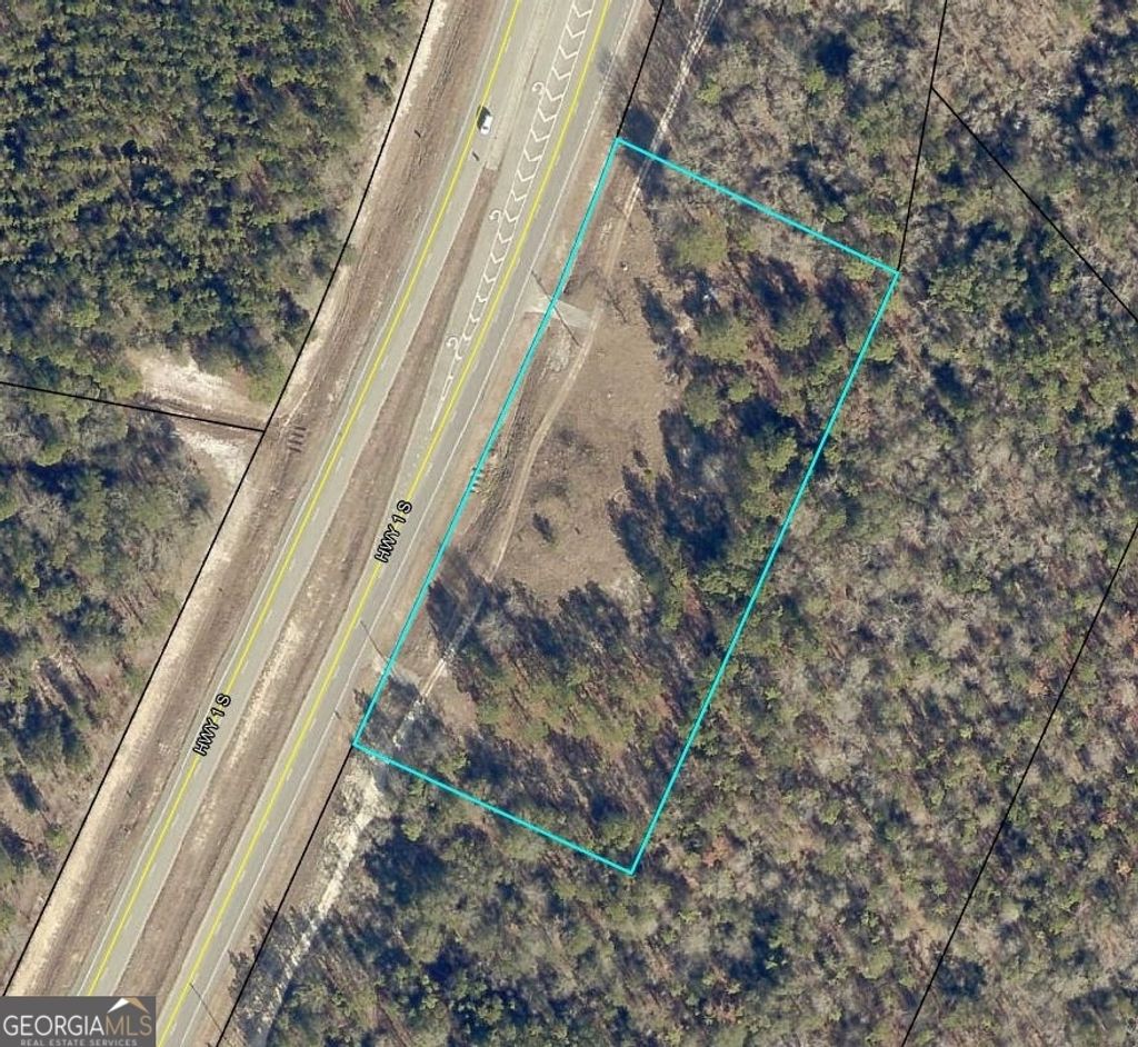 Photo of 0 S Highway 1, Twin City, GA 30471 (MLS # 10684404)