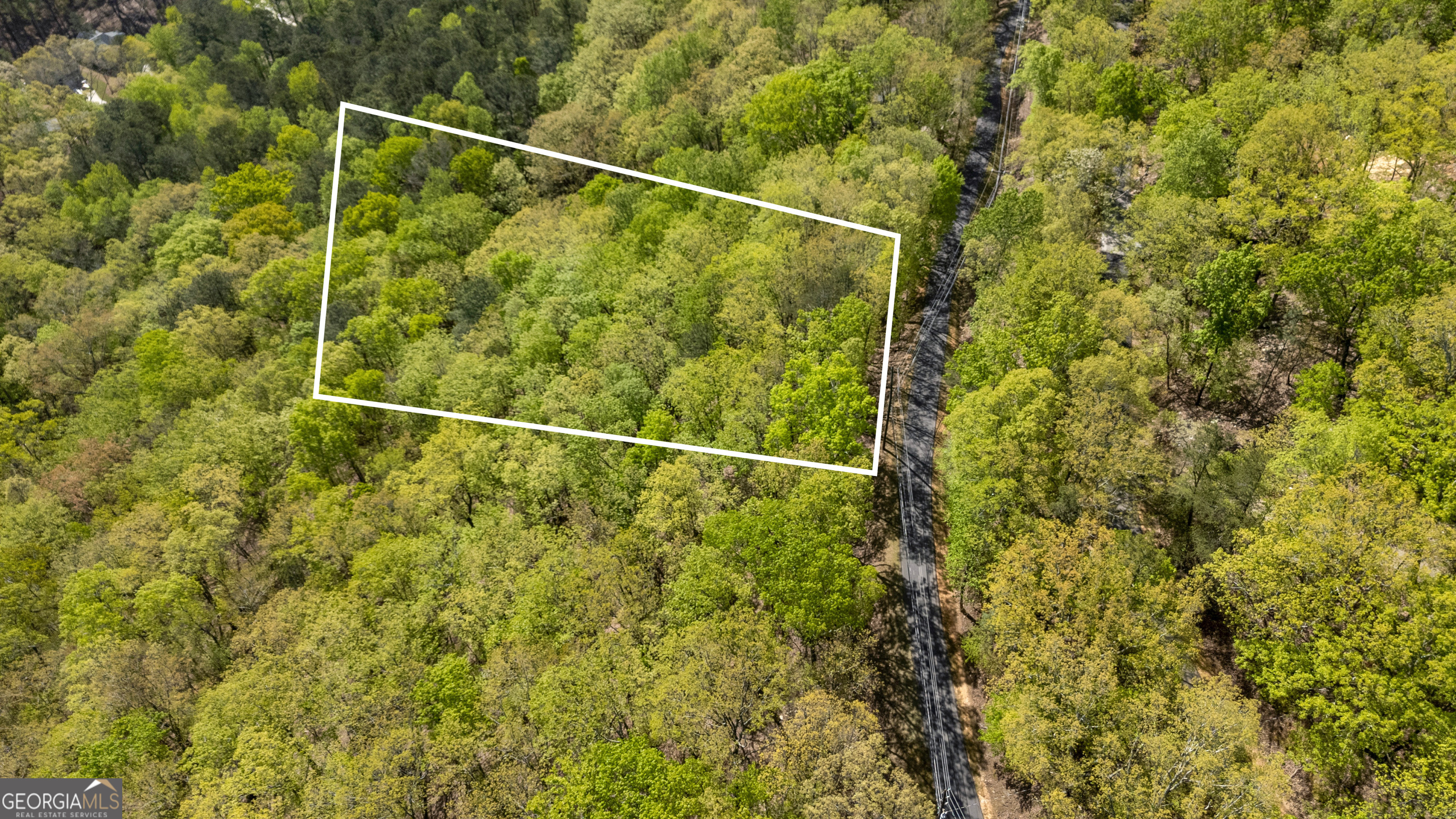 *SELLER FINANCING AVAILABLE* Seize your chance to own a premier piece of land nestled with the Lake Arrowhead Community! Located within North Georgia's amazing mountain retreat, this lot offers endless potential for your dream home or investment property. This property offers an ideal build site, well-positioned for development. Take advantage of the unparalleled privacy and amenities within the gated community. With access to Lake Arrowhead, you will have boating, fishing, and resort-style living at your doorstep. Don't let this opportunity slip away, place your offer today! **Property lines depicted in listing photos are approximate and for visual reference only. Buyer is responsible for conducting independent verification of boundaries and property details.