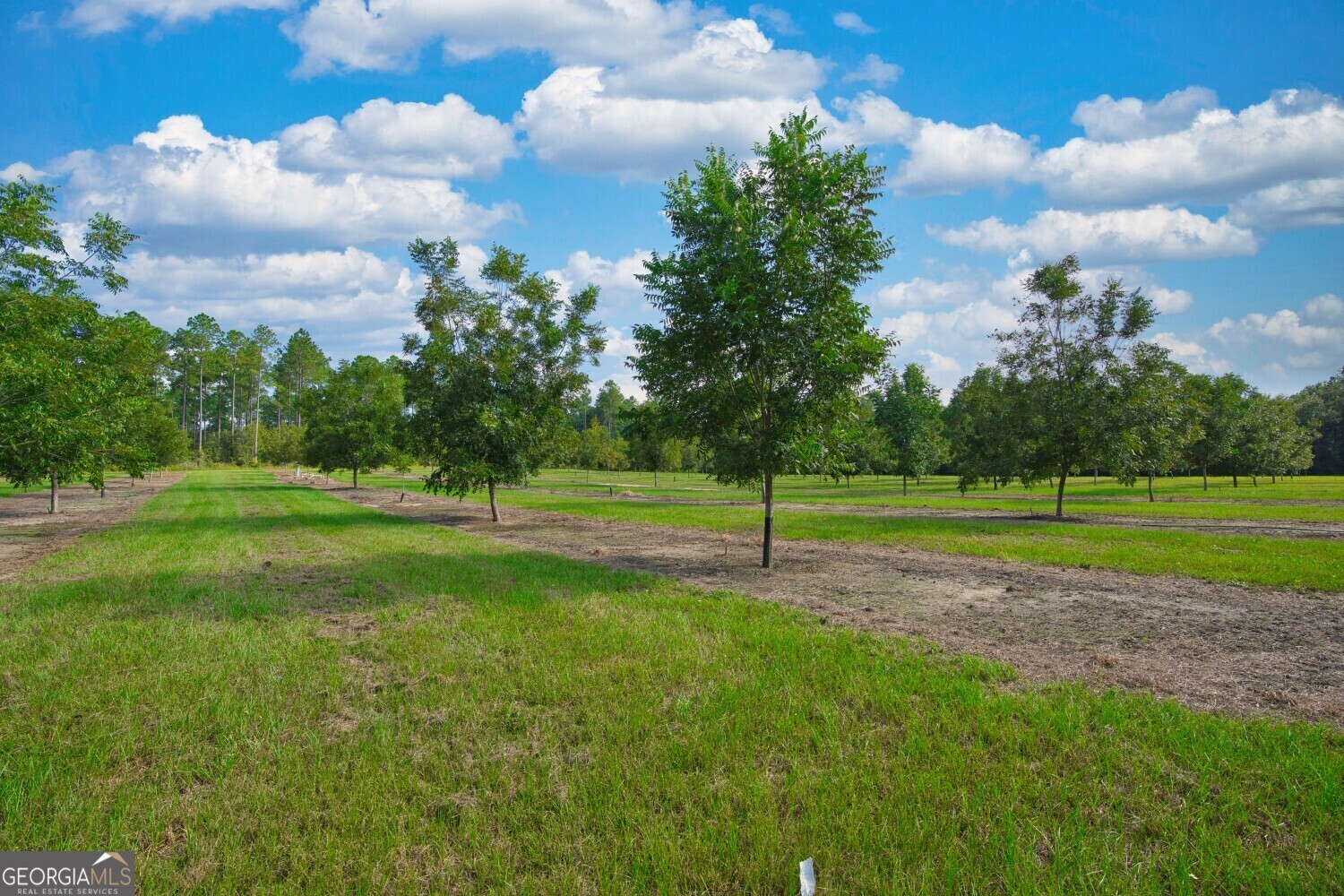 0 Gravel Hill Rd.