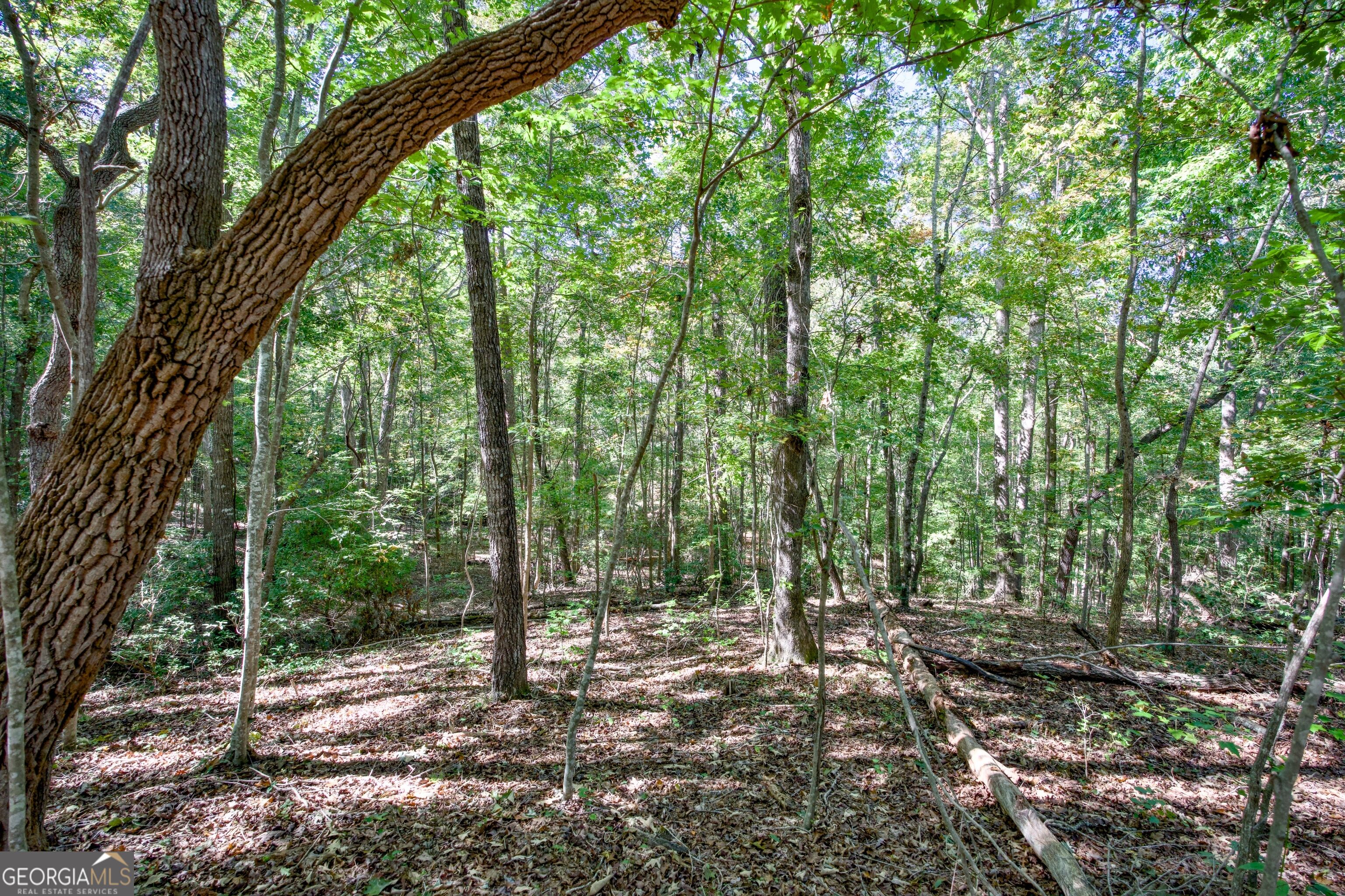 16 AC Soapstone RD