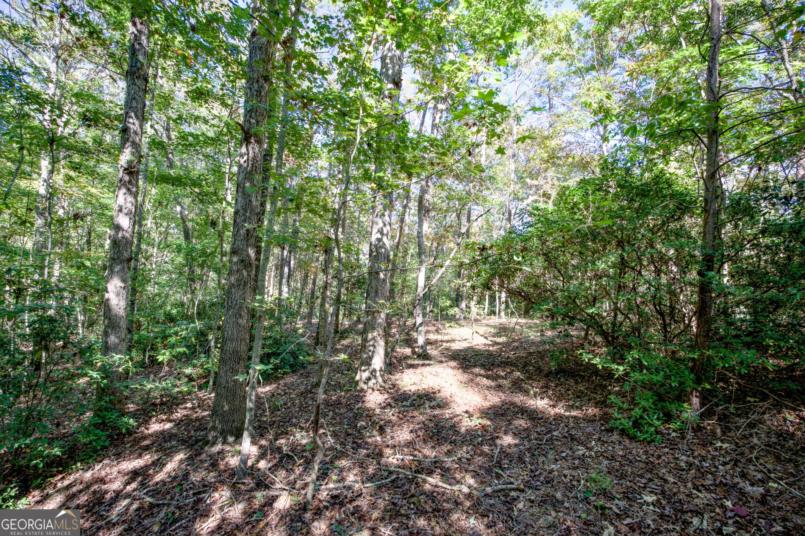 16 AC Soapstone RD