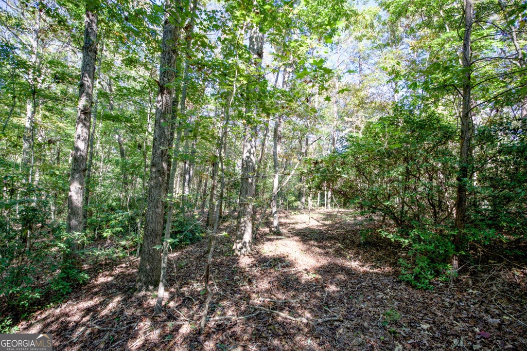 Photo of 16 Soapstone Road, Baldwin, GA 30511 (MLS # 10874549)