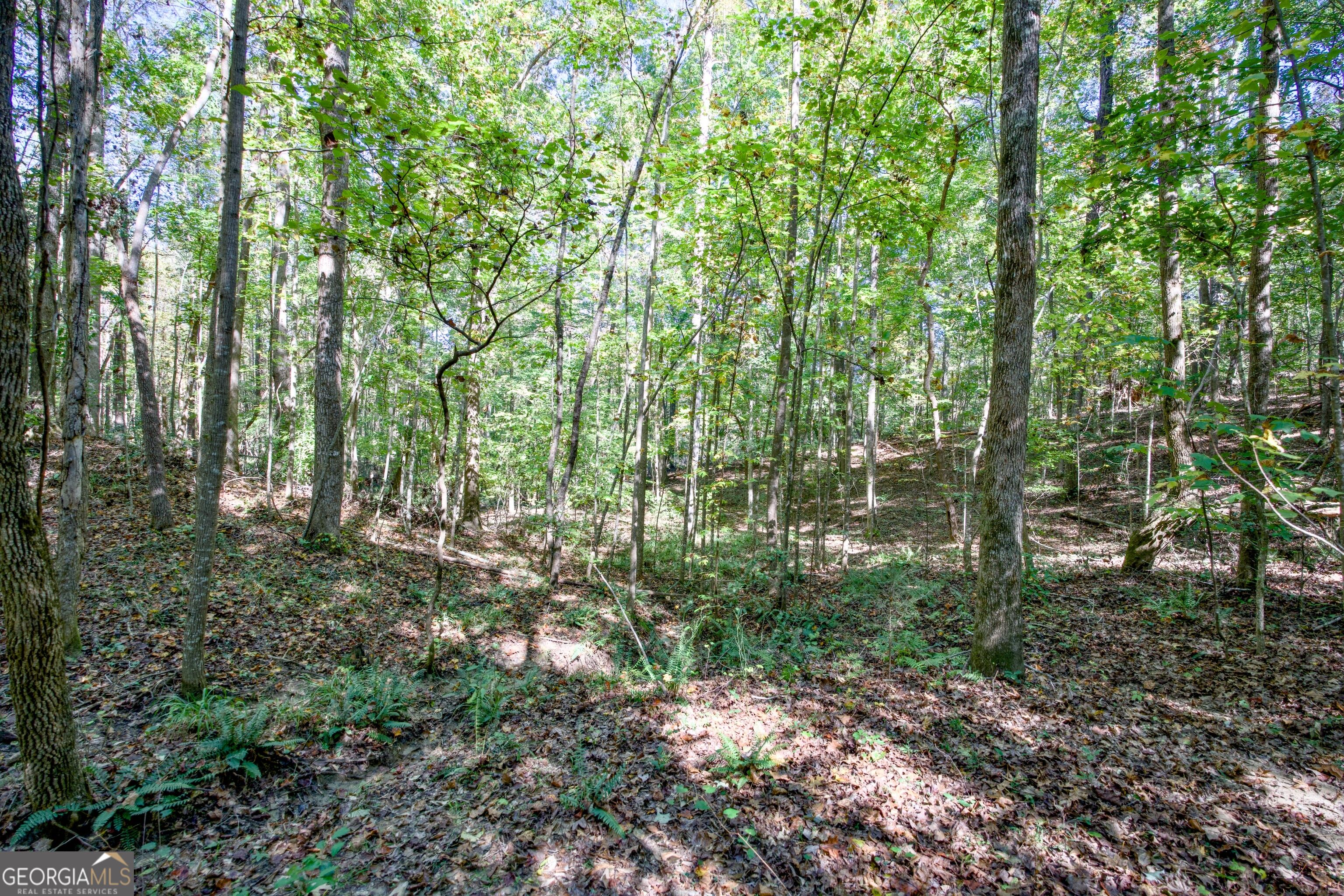 16 AC Soapstone RD