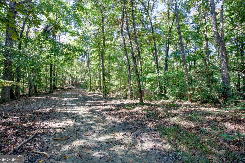 Photo of 16 Soapstone Road, Baldwin, GA 30511 (MLS # 10874549)