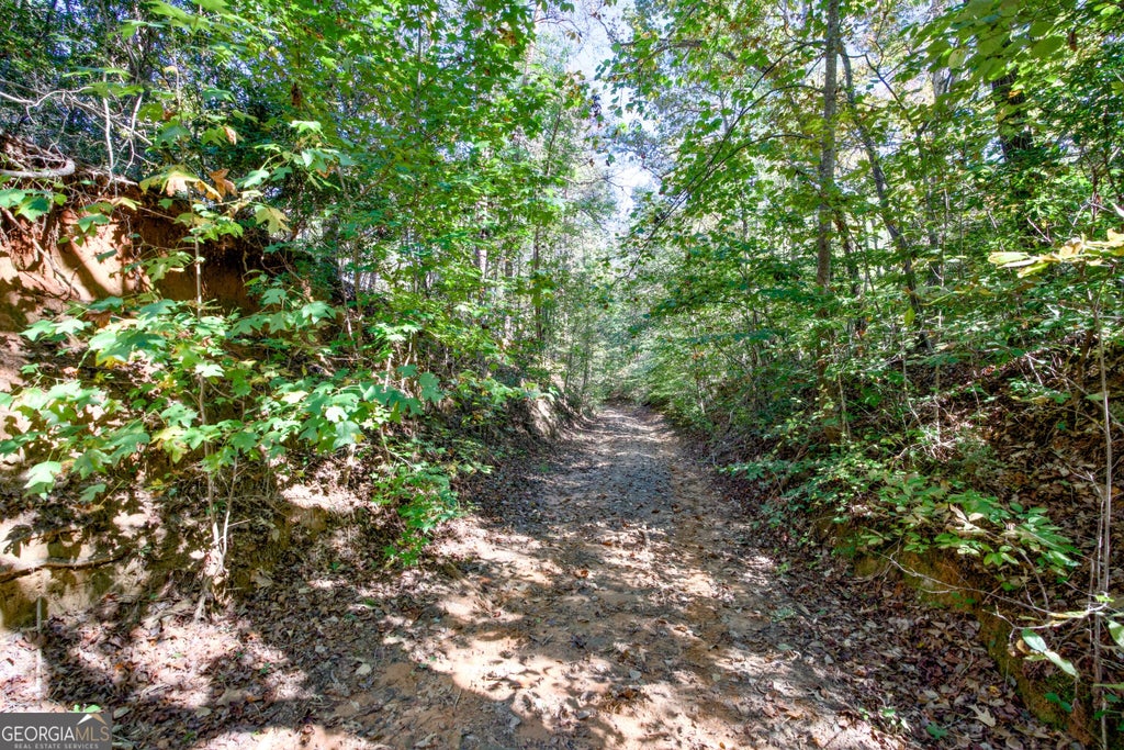 Photo of 16 Soapstone Road, Baldwin, GA 30511 (MLS # 10874549)