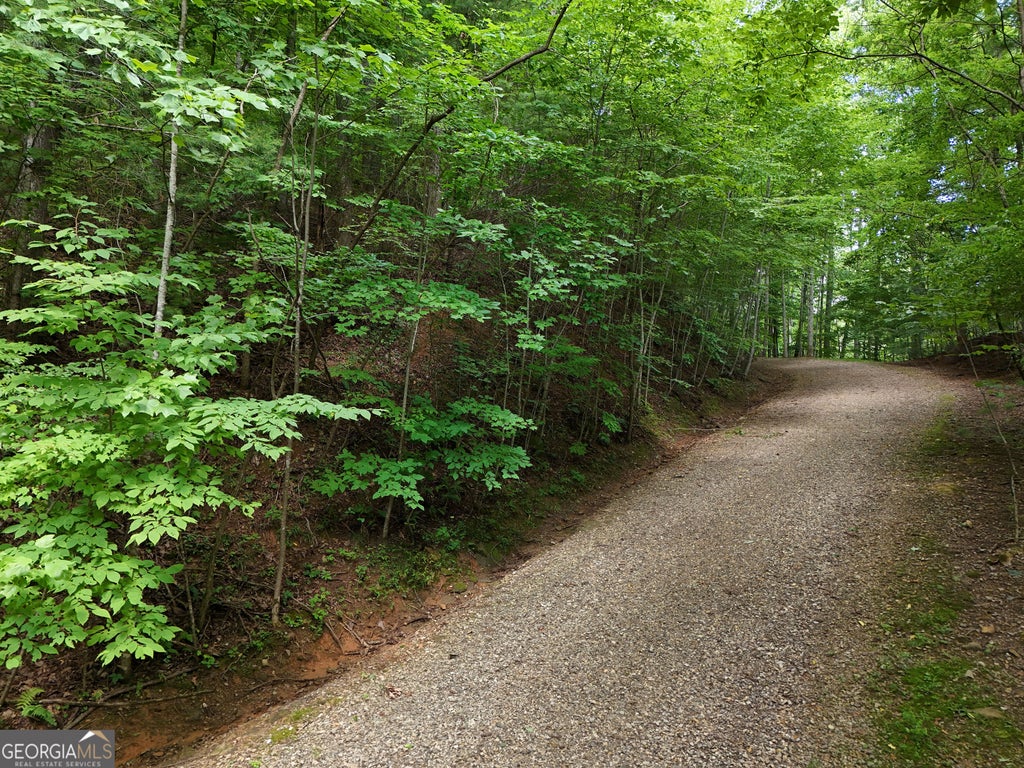 Photo of 31 Highland Forge Lane, Blairsville, GA 30512 (MLS # 10867795)