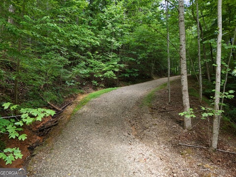 Photo of 31 Highland Forge Lane, Blairsville, GA 30512 (MLS # 10867795)