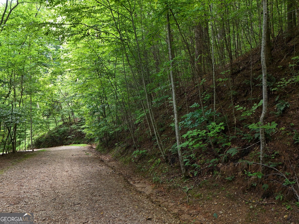 Photo of 31 Highland Forge Lane, Blairsville, GA 30512 (MLS # 10867795)