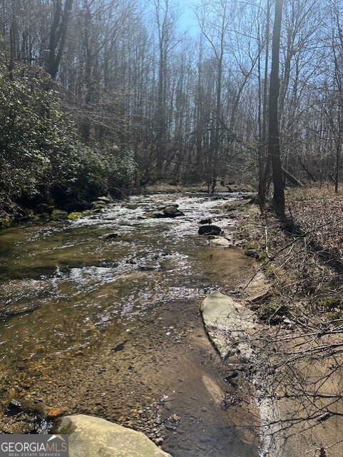 In the enchanting town of Ellijay, Georgia sits the magical community, Bravo Rivera Estates, located directly across from Chateau Meichtry Winery. Lot 16 provides an excellent building site encompassing 3.97 wooded acres, allowing you to experience the leisure of nature and its beauty. Looking down at the noisy, rustling creek with over 470' of creek frontage, unwind and create your own creek-side oasis. Relax and enjoy the time spent taking in the many native plants and all the vegetation that abounds. Deer, turkey, and other wildlife will be your visitors on many occasion! Discover luxury living in this private community that is within walking distance of the winery and within 5 miles of several other wineries, apple houses, and a cider tasting establishment. Downtown Ellijay is only about 15 minutes away. Elementary and Middle Schools are only a short drive away for families with children. Your investment will be protected with the Covenants and Restrictions that are set in place. Come check this lot out and build your vacation get away or new primary residence and start enjoying mountain living at its finest!