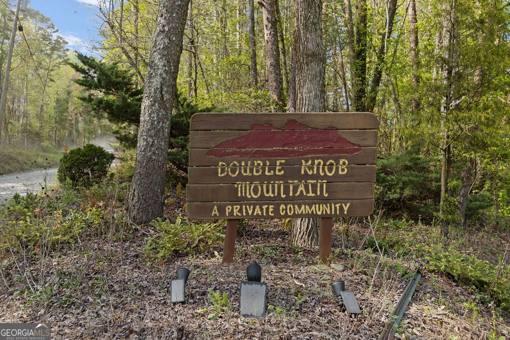 Photo of 0 Poplar Hollow Road, Ellijay, GA 30540 (MLS # 10734656)