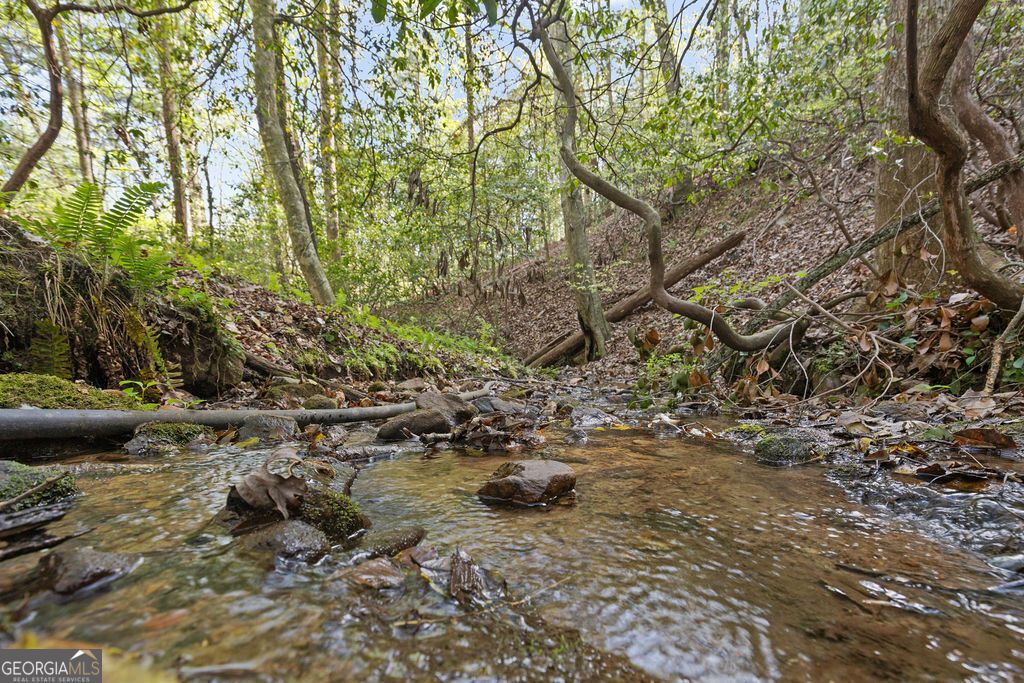 Photo of 0 Poplar Hollow Road, Ellijay, GA 30540 (MLS # 10734656)