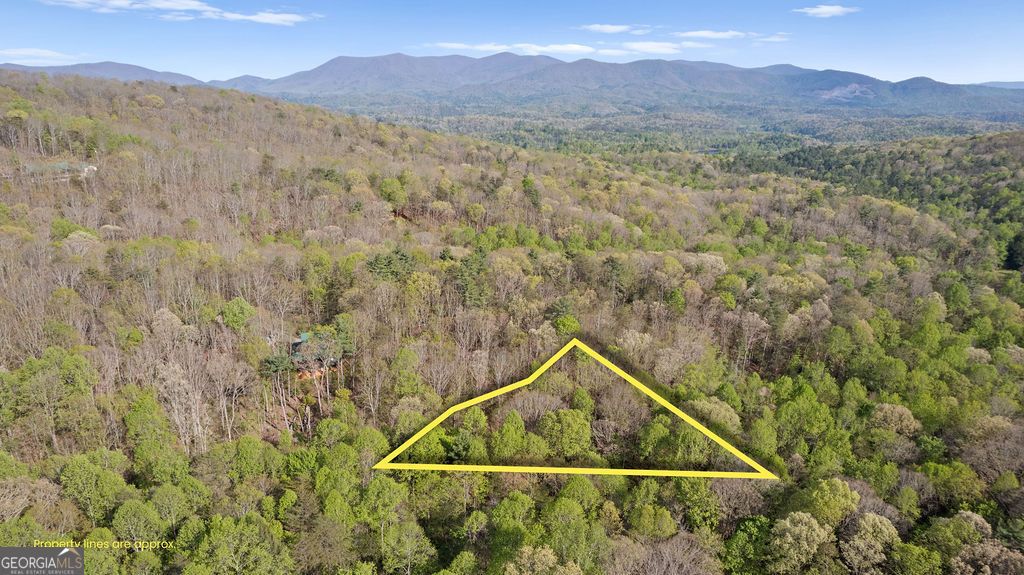 Photo of 0 Poplar Hollow Road, Ellijay, GA 30540 (MLS # 10734656)