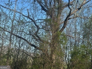 LOT 40 Overlook TRL 40
