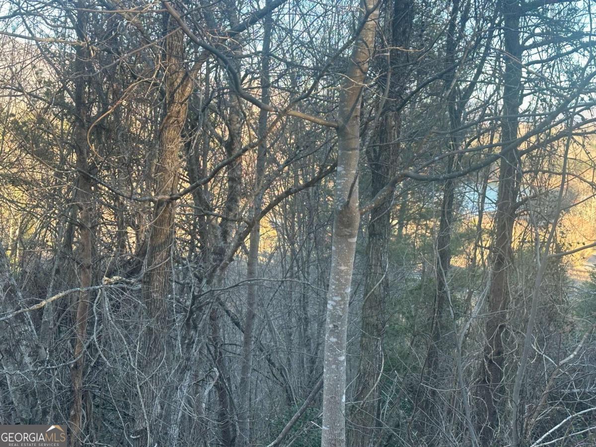 LOT 40 Overlook TRL 40