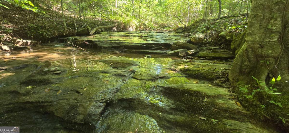 Welcome to the Outback, located in beautiful Talking Rock, Georgia. These two wonderful lots are being sold together, providing 9.4 AC+/- of Mountain Land. The rushing waters of Fisher Creek run along the back side of the property, with an old road bed providing easy access to the creek. There is an absolutely wonderful home site on the property, providing an opportunity for either a basement or slab home. As can be seen in the photos, the potential for a long range view is possible. Mature Hardwoods along with Mountain Laurel are found throughout the property. The Outback offers paved, private roads, along with underground utilities. The HOA is active along with the CCR, keeping the neighborhood in wonderful condition. The homes that are currently in the community are well maintained and pleasant. Talking Rock is only an hour from Atlanta, while being nestled in the heart of some of North Georgia's most beautiful country. Please take this opportunity to own you part of the North Georgia Mountains. Pickens County Tax ID numbers 009 047 089 and 009 047 090 are being sold together.