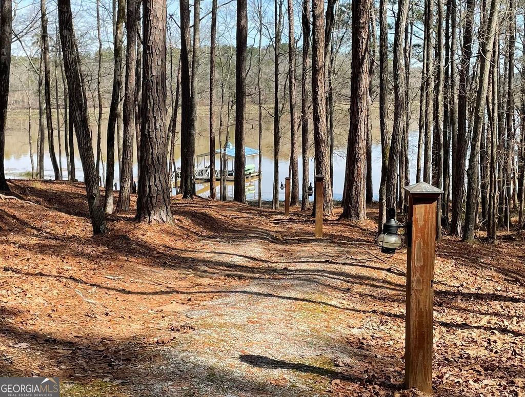 Photo of 4 Grayson Point, Hogansville, GA 30230 (MLS # 10704321)